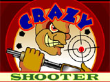 Flash  Crazy Shooter