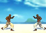 Flash  Capoeira Fighter